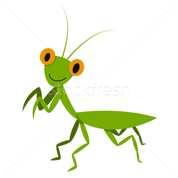 Mantis, Mantodea grasshopper in flat style, vector Stock photo © jiaking1