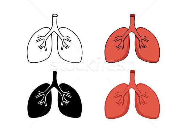 Set of lung icon, vector art Stock photo © jiaking1