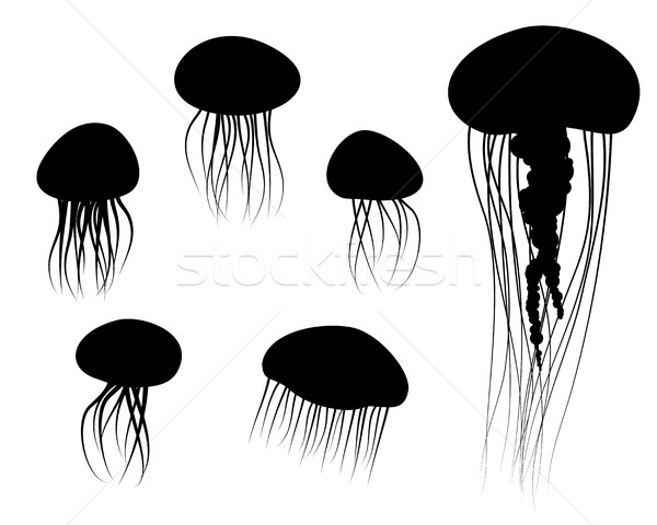 Szett meduza ikonok sziluett stílus vektor Stock fotó © jiaking1