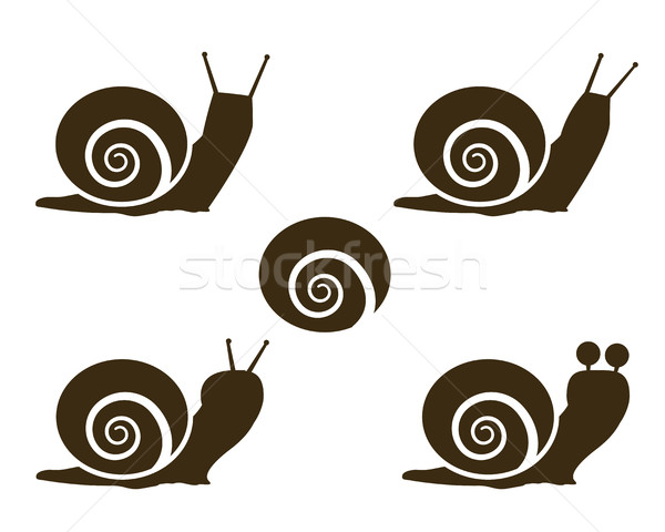 Set of Snail icon and signs Stock photo © jiaking1