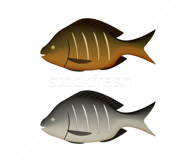 Frito peixe branco 3D vetor Foto stock © jiaking1