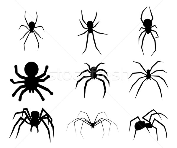 Set of black silhouette spider icon isolated on white background Stock photo © jiaking1