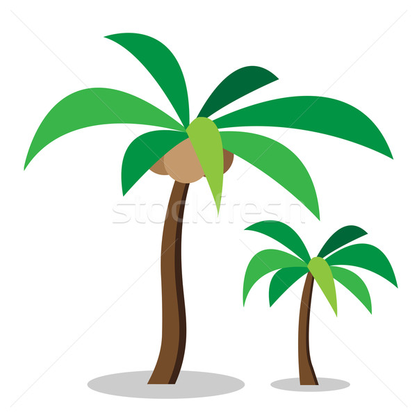 Two coconut trees with coconut Stock photo © jiaking1