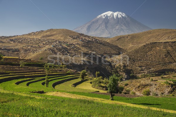 Inca's garden and active volcano Misti, Arequipa, Peru Stock photo © jirivondrous
