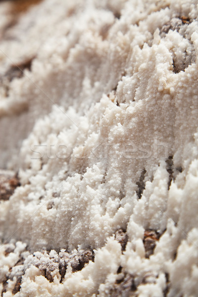 Detail of salt at Salina de Maras, the traditional inca salt field in Maras near Cuzco in Sacred Val Stock photo © jirivondrous