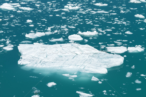 Icebergue flutuante braço água paisagem neve Foto stock © jirivondrous