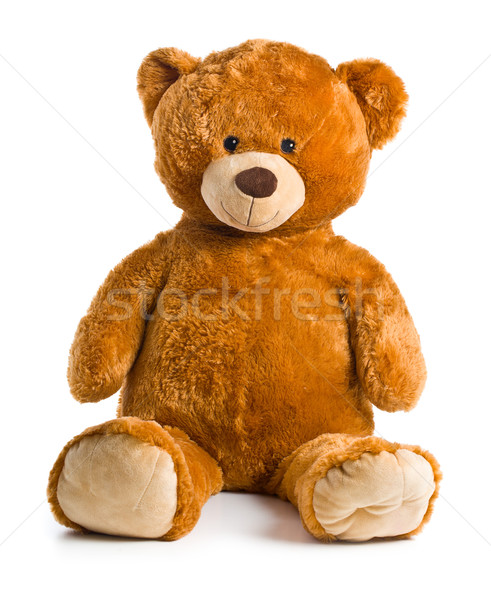 teddy bear Stock photo © jirkaejc