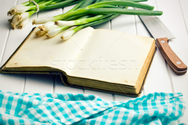 Vechi reteta carte primăvară ceapă alimente Imagine de stoc © jirkaejc