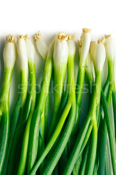 新鲜 · 春天 · 洋葱 ·白· 食品 ·叶 / fresh spring onion on