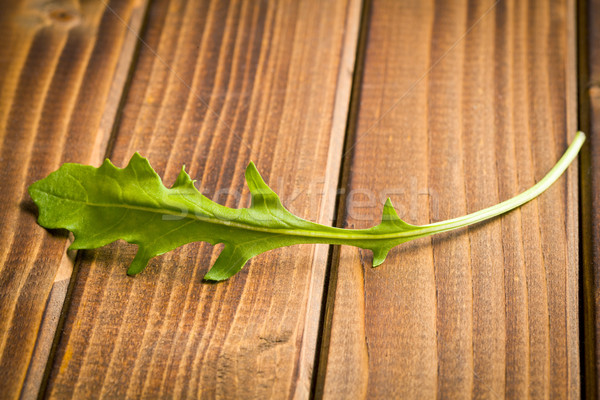 fresh arugula leaf Stock photo © jirkaejc