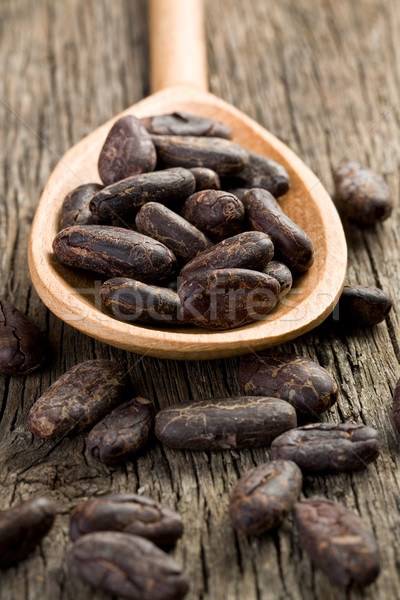 cocoa beans in wooden spoon Stock photo © jirkaejc