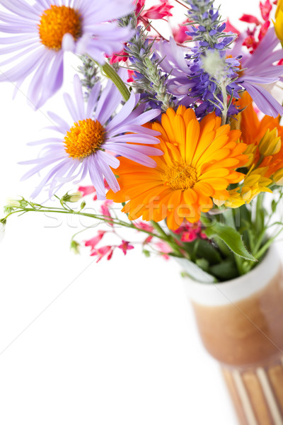 Stock photo: spring flowers