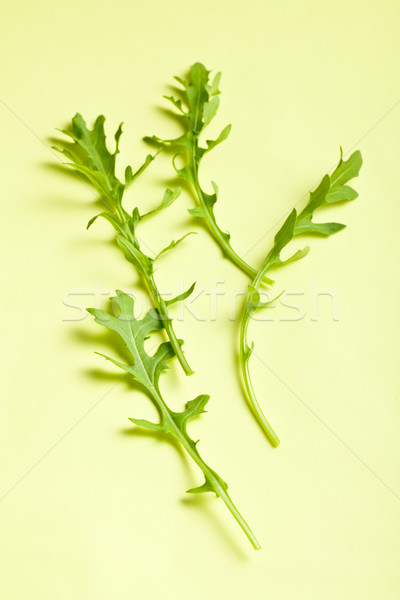 arugula leaves Stock photo © jirkaejc