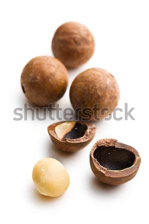 macadamia nuts Stock photo © jirkaejc