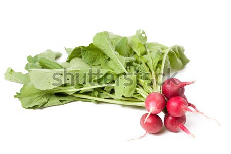 Fresche ravanello bianco alimentare gruppo vegetali Foto d'archivio © jirkaejc