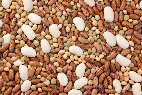 mixed legumes Stock photo © jirkaejc