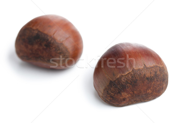 chesnuts on white background Stock photo © jirkaejc