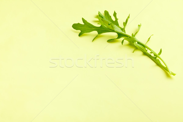 arugula leaves Stock photo © jirkaejc