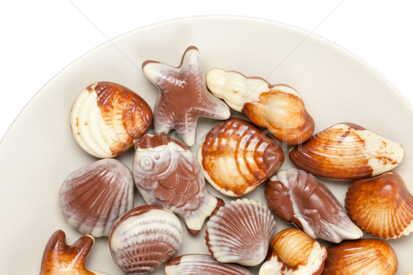 chocolate seashells Stock photo © jirkaejc