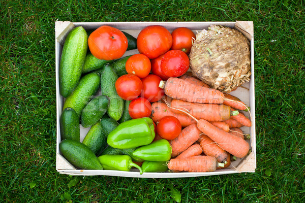 fresh vegetable in wooden box Stock photo © jirkaejc