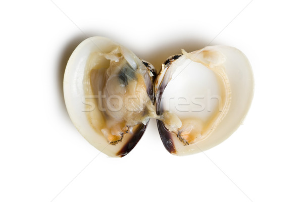 Brut clam haut vue blanche alimentaire Photo stock © jirkaejc
