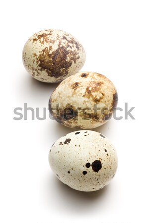 Foto stock: Huevos · blanco · naturaleza · huevo · aves · desayuno