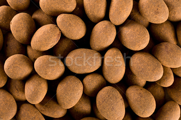 almonds in chocolate with cinnamon Stock photo © jirkaejc