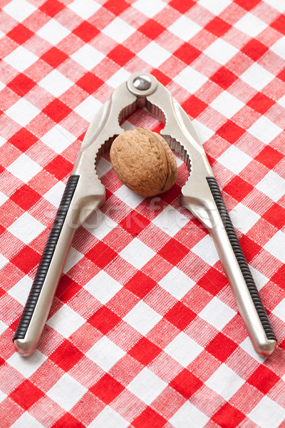 Nussbaum Tannenhäher Picknick Tischdecke Essen Hintergrund Stock foto © jirkaejc