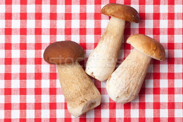 fresh  mushrooms Stock photo © jirkaejc