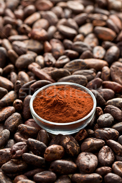 cocoa beans and cocoa powder Stock photo © jirkaejc