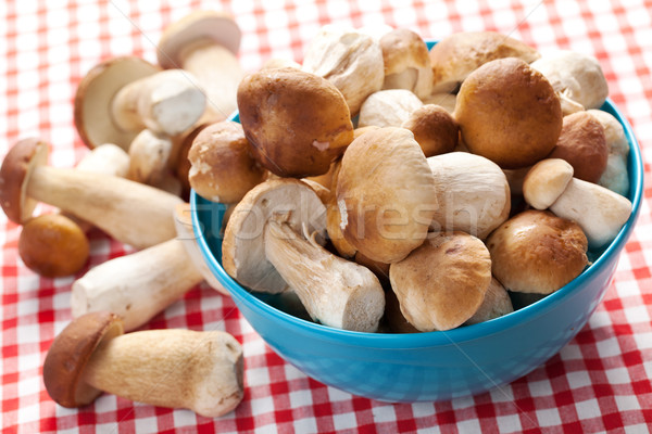 fresh  mushrooms Stock photo © jirkaejc