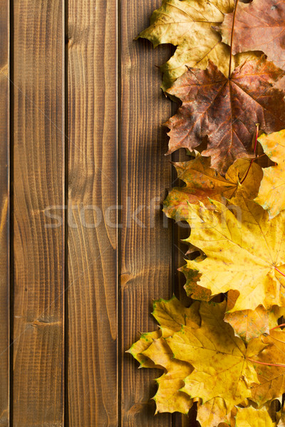 autumn leaves over wooden background with copy space  Stock photo © jirkaejc