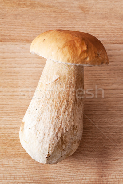 fresh  mushroom Stock photo © jirkaejc
