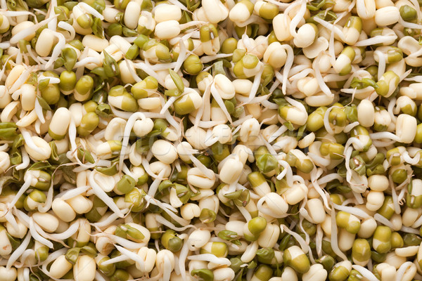 Stock photo: mung beans