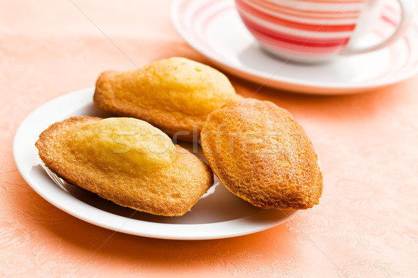 sweet madeleine cookies Stock photo © jirkaejc