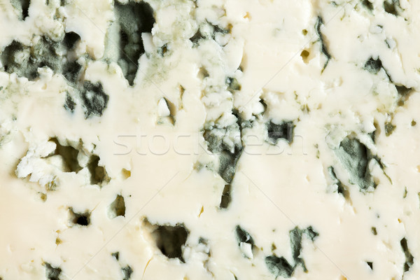 Formaggio tipo gorgonzola primo piano sfondo verde blu formaggio Foto d'archivio © jirkaejc