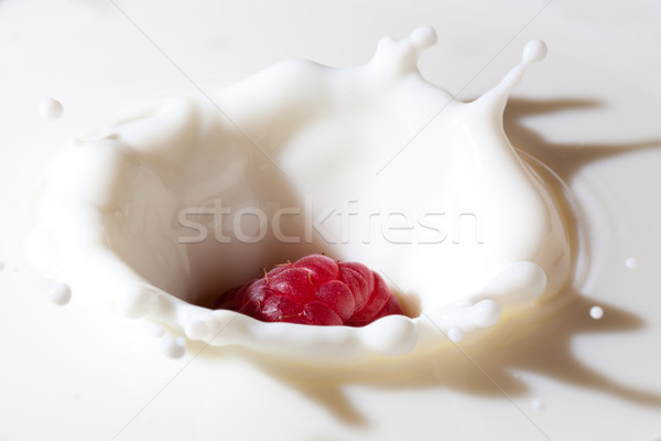 raspberry falls into milk Stock photo © jirkaejc
