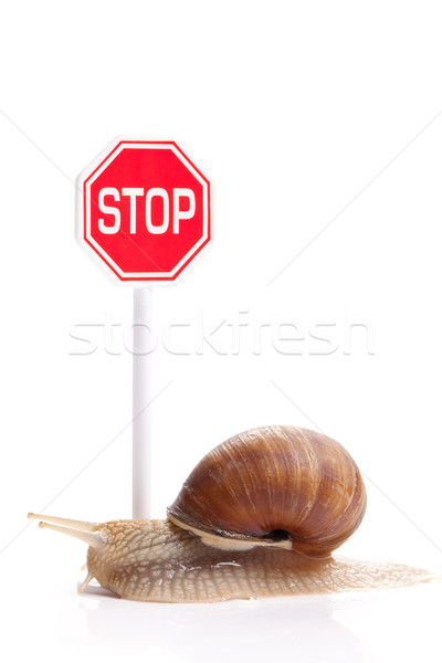 Jardin escargot arrêter panneau de signalisation maison alimentaire Photo stock © jirkaejc
