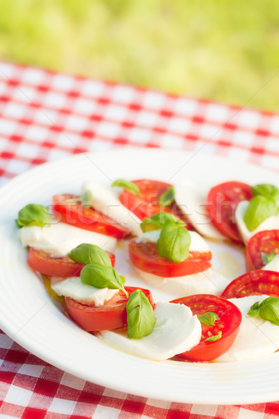 Caprese salade witte plaat foto shot bladeren Stockfoto © jirkaejc