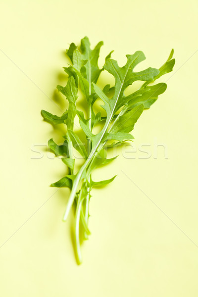 arugula leaves Stock photo © jirkaejc