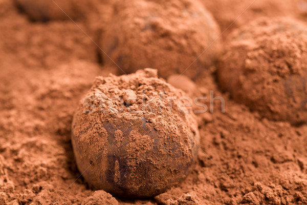 Stock photo: chocolate truffles 