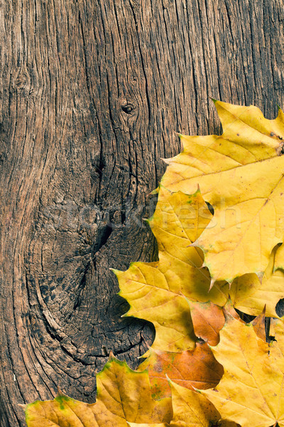 autumn leaves over wooden background with copy space  Stock photo © jirkaejc