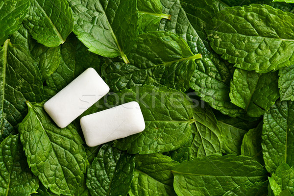 mint leaves and chewing gum Stock photo © jirkaejc