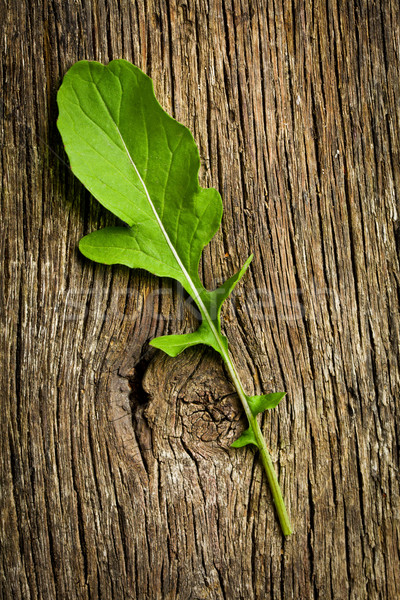 fresh arugula leaf Stock photo © jirkaejc