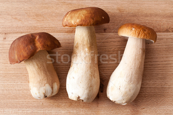 fresh  mushrooms Stock photo © jirkaejc