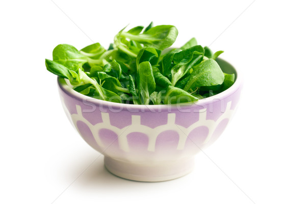 corn salad, lamb's lettuce in ceramic bowl Stock photo © jirkaejc