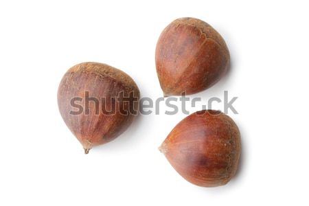 chesnuts on white background Stock photo © jirkaejc