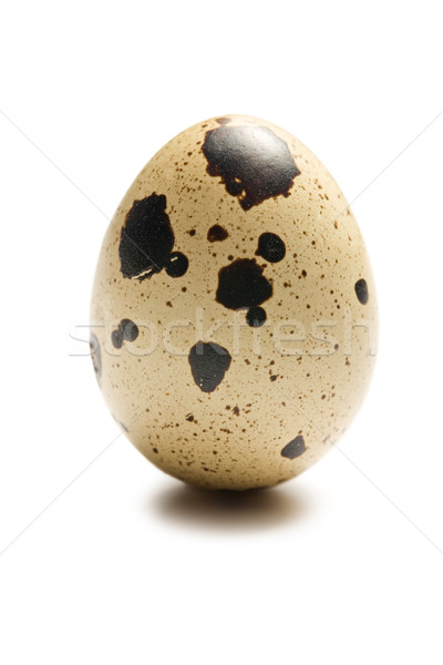 quail egg on white background Stock photo © jirkaejc