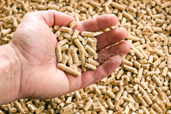 wooden pellet .ecological heating Stock photo © jirkaejc