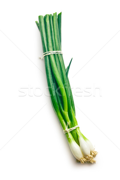 fresh spring onion Stock photo © jirkaejc